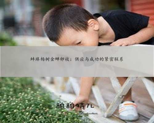 蚌埠杨树金蝉卵枝：供应与成功的紧密联